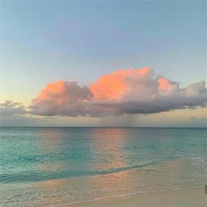 美国又大又粗性交片
