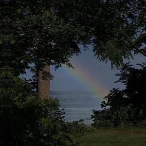 免费🔞成人❌❌❌结照片巨根
