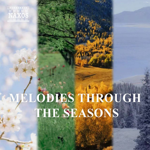 成人电影视频在线观看
